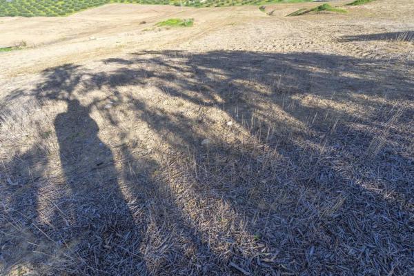 Terreno en Villafranco del Guadalhorce photo 2