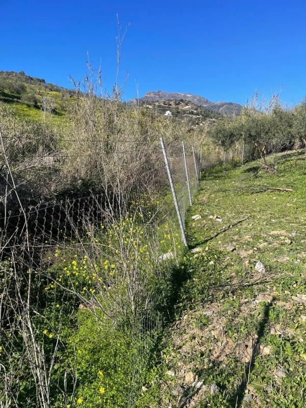 Terreno en venta en Alozaina, Malaga photo 2