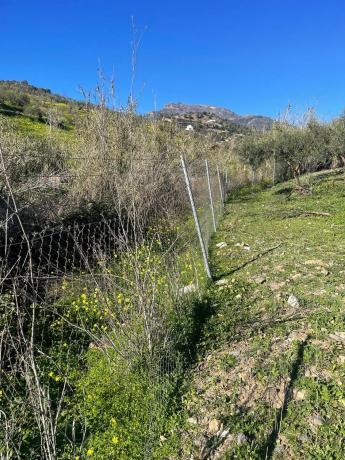 Terreno en Poligono photo 2