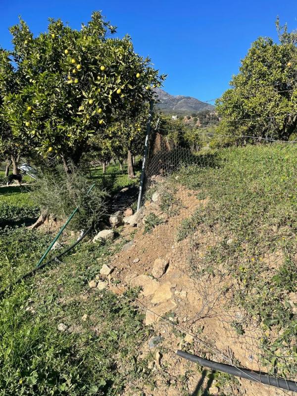 Terreno en venta en Alozaina, Malaga photo 4