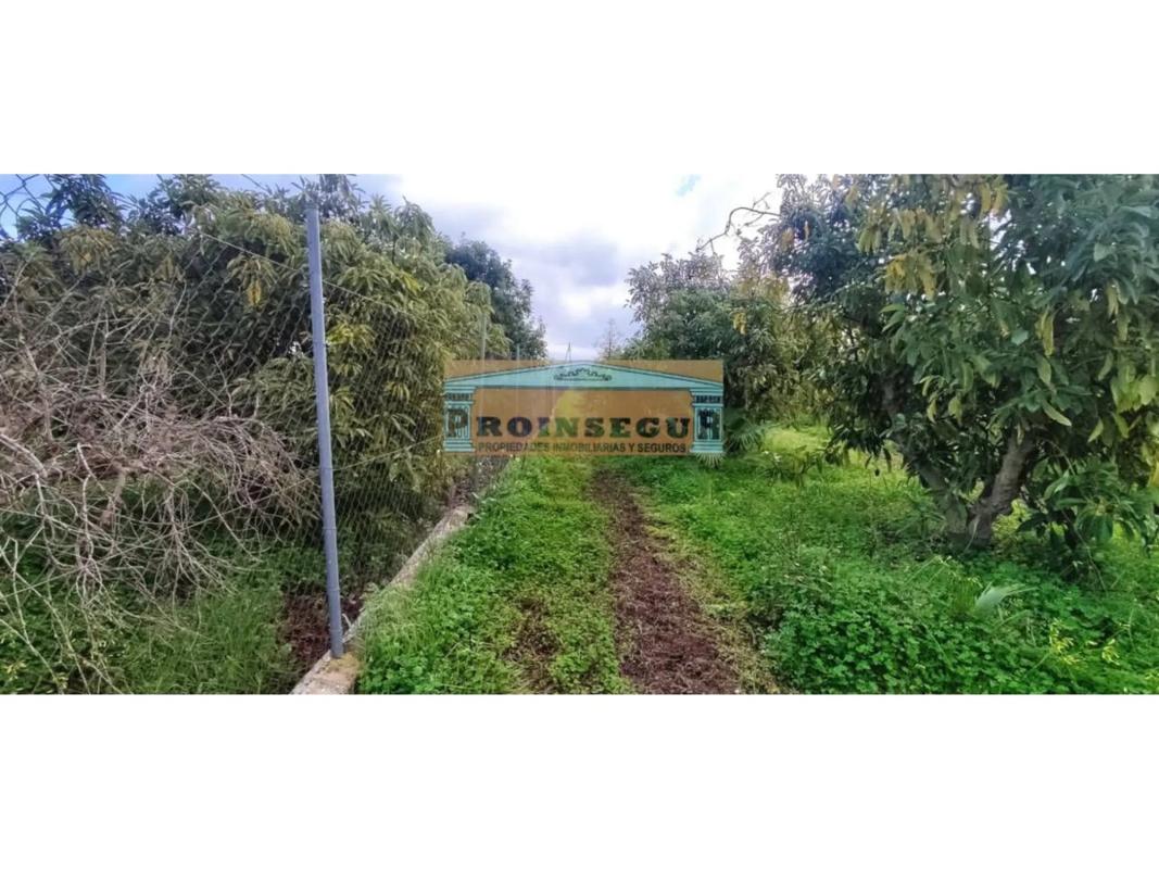 Land for sale in Alhaurín el Grande, Malaga photo 5