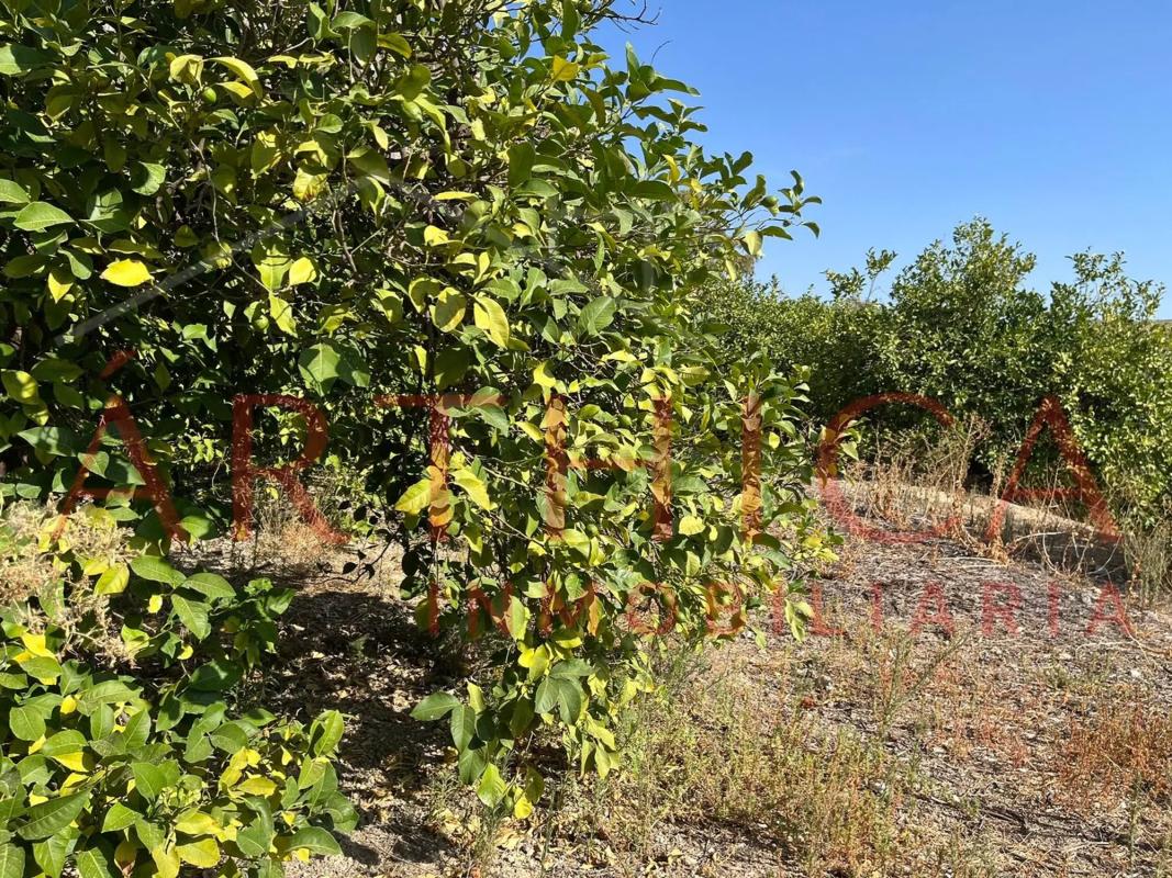 Terreno en venta en Valle de Abdalajís, Malaga photo 2