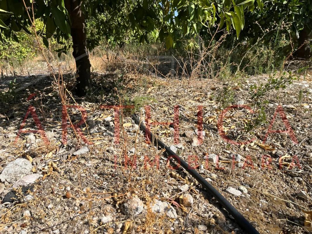 Terreno en venta en Valle de Abdalajís, Malaga photo 3