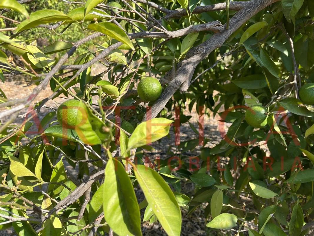 Terreno en venta en Valle de Abdalajís, Malaga photo 5