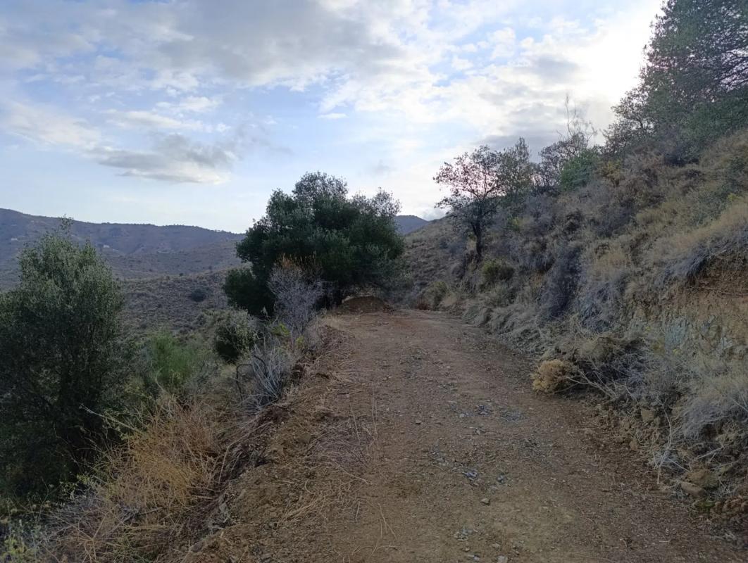 Działka na sprzedaż w Málaga, Malaga photo 4