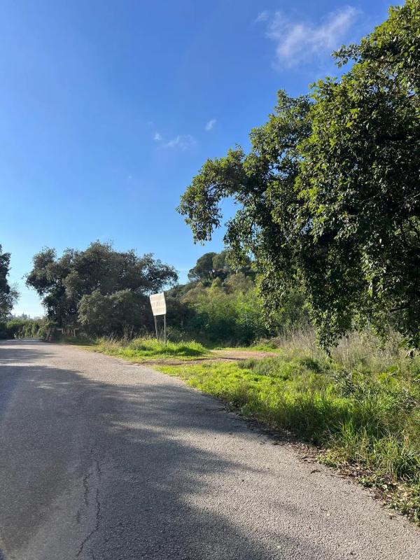 Terreno en venta en Marbella, Malaga photo 4
