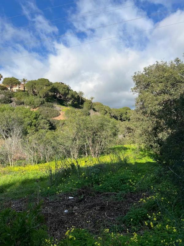 Terreno en venta en Marbella, Malaga photo 4