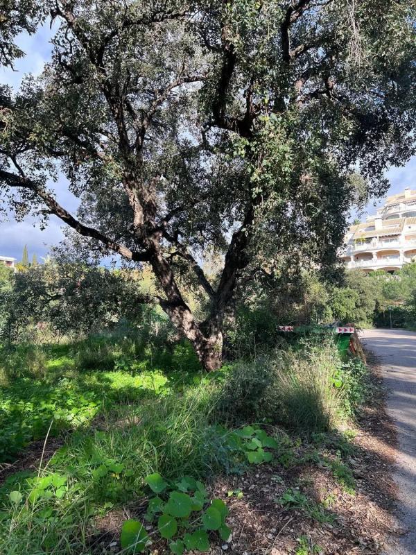 Terreno en venta en Marbella, Malaga photo 5