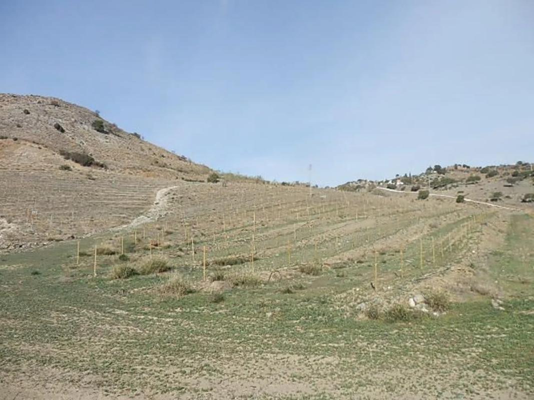 Land for sale in Alhaurín de la Torre, Malaga photo 1