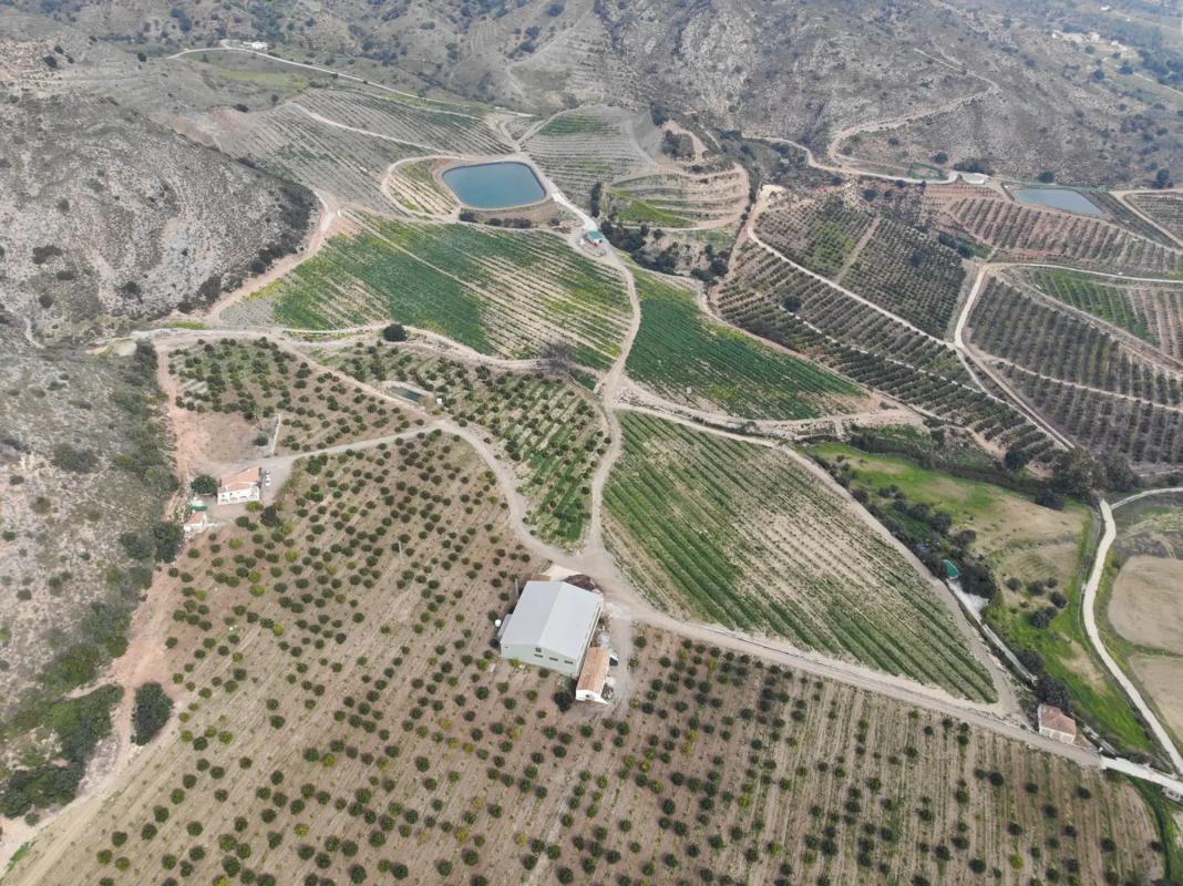 Land for sale in Alhaurín de la Torre, Malaga photo 2