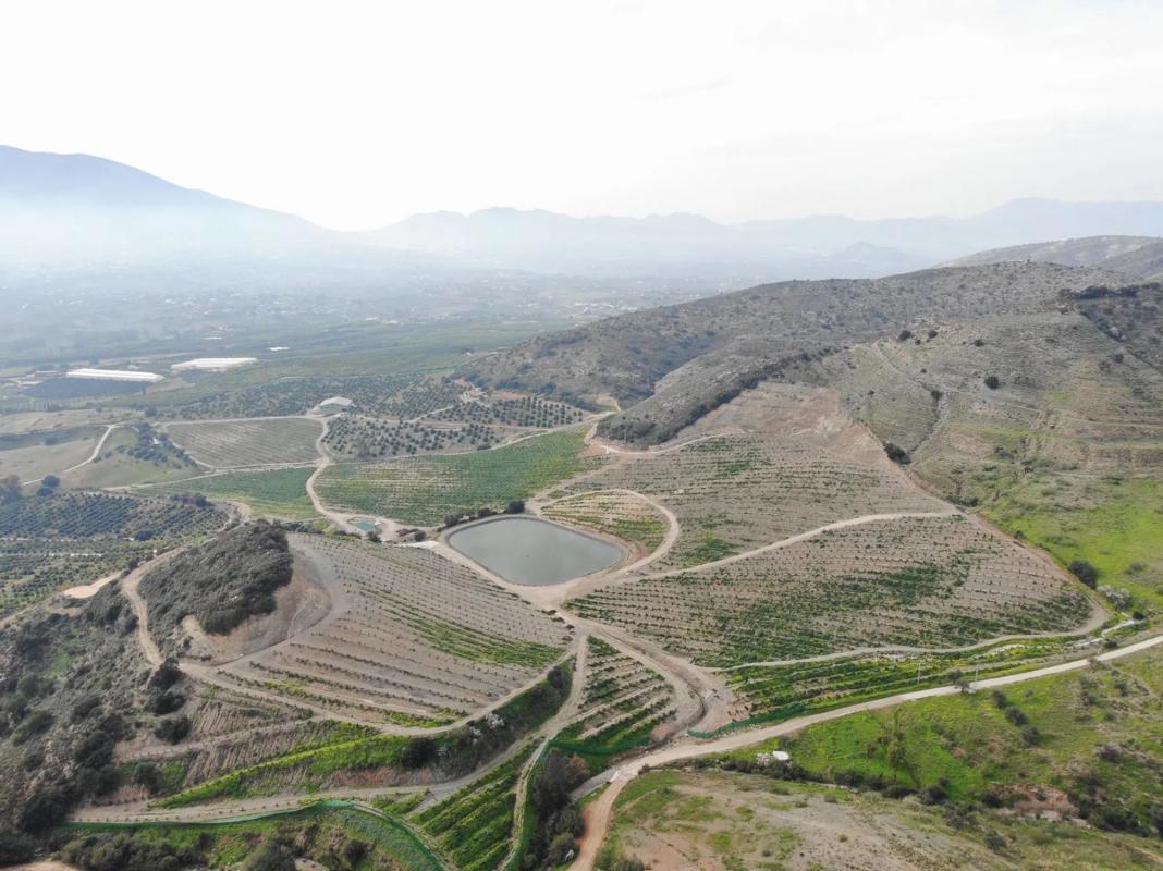 Land for sale in Alhaurín de la Torre, Malaga photo 3