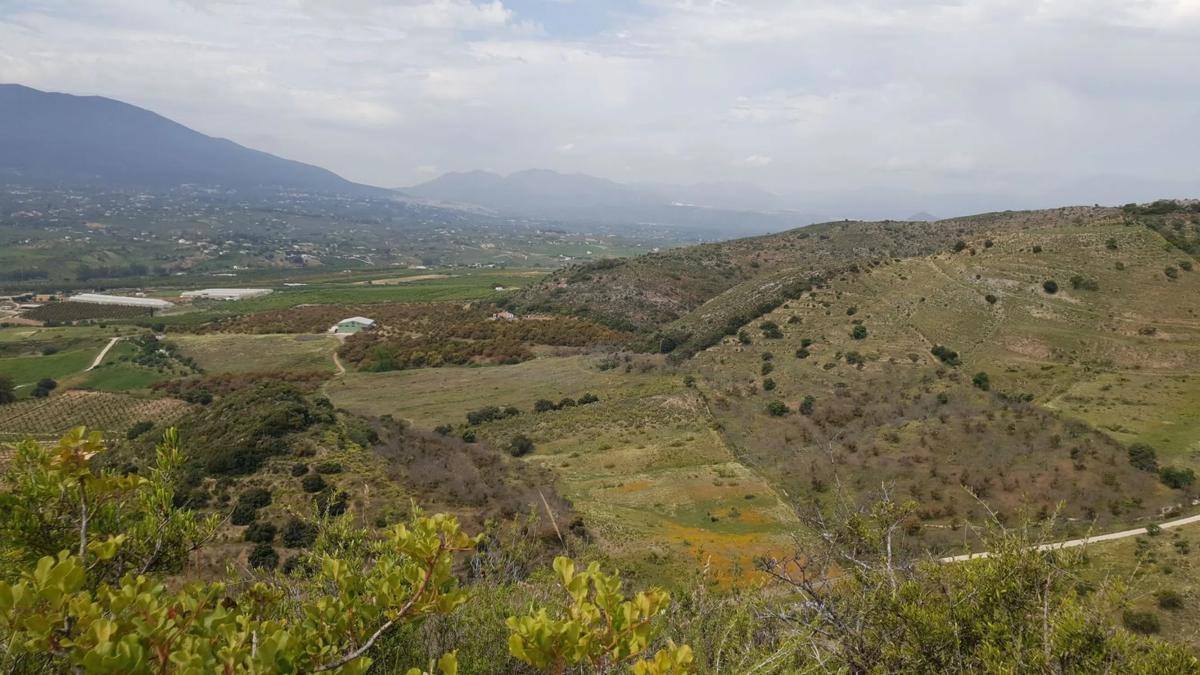 Land for sale in Alhaurín de la Torre, Malaga photo 4