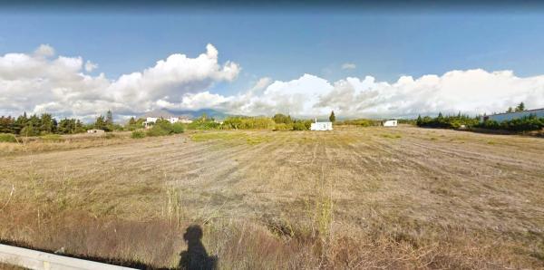 Terreno en carretera de Cádiz photo 3