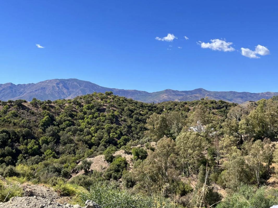 Land for sale in Estepona, Malaga photo 3