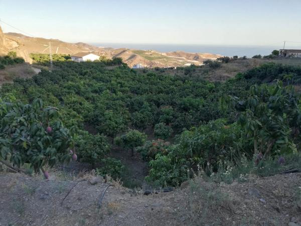 Terreno en Diseminado Lagos Altos s/n sn photo 4