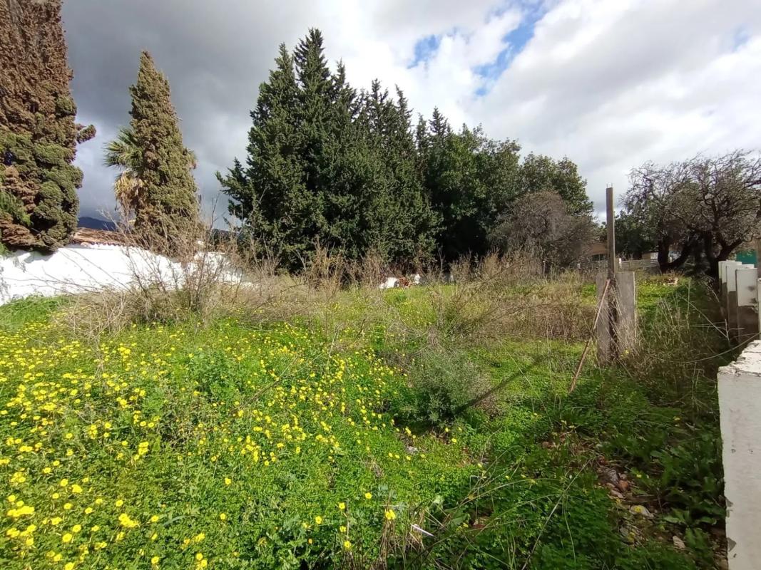 Terreno en venta en Marbella, Malaga photo 1