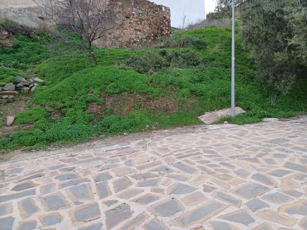 Terreno en venta en Macharaviaya, Malaga photo 3