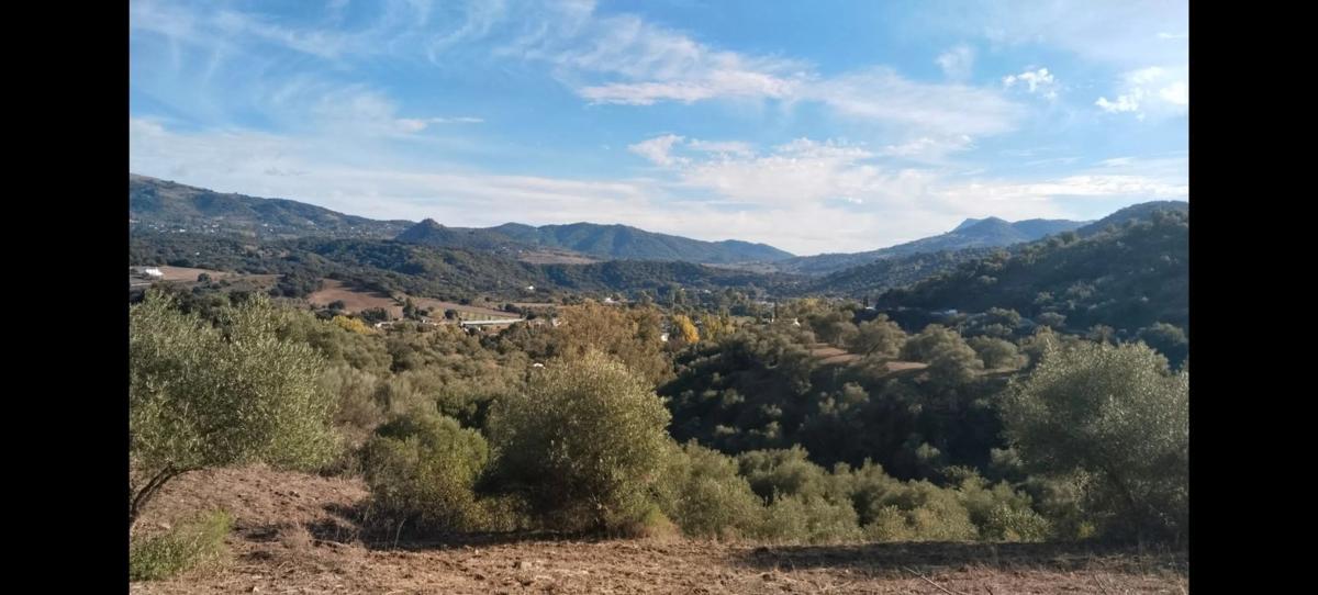 Działka na sprzedaż w Cortes de la Frontera, Malaga photo 3