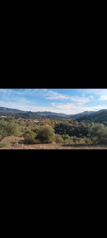 Działka na sprzedaż w Cortes de la Frontera, Malaga photo 5