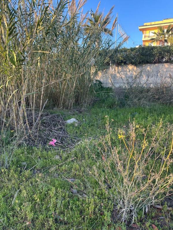 Участок земли на продажу в Торрокс, Малага photo 3