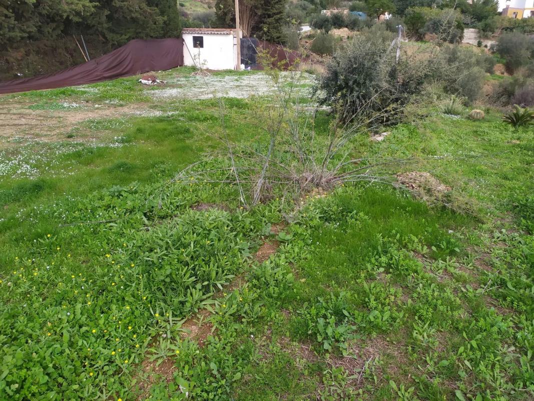 Terreno en venta en Mijas, Malaga photo 3