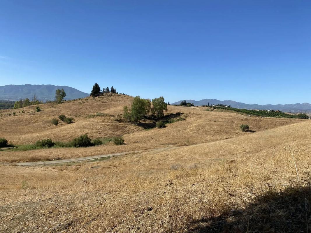 Terreno en venta en Pizarra, Malaga photo 3