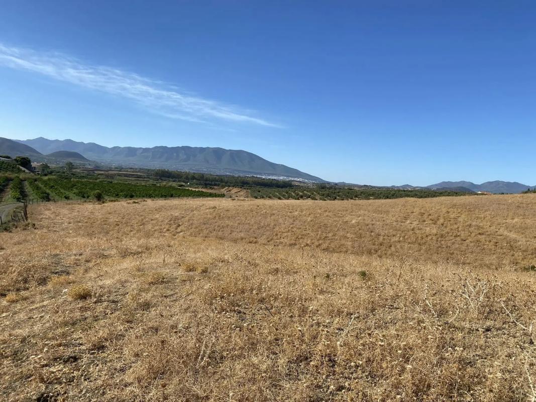 Terreno en venta en Pizarra, Malaga photo 5