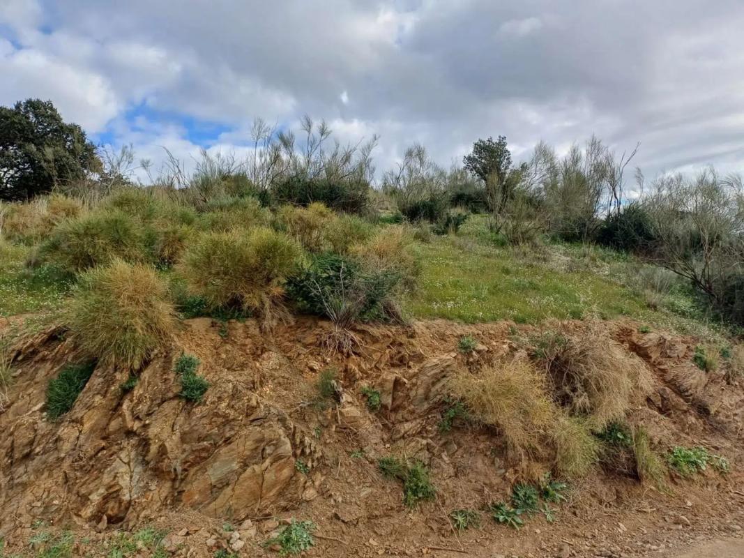 Terreno en venta en Macharaviaya, Malaga photo 1