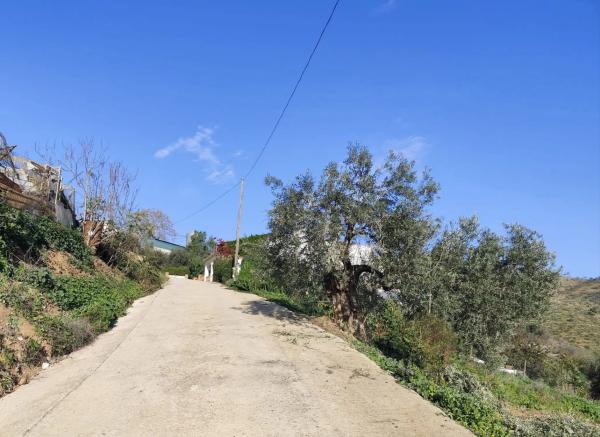 Terreno en cerro villalia s/n thumbnail 1