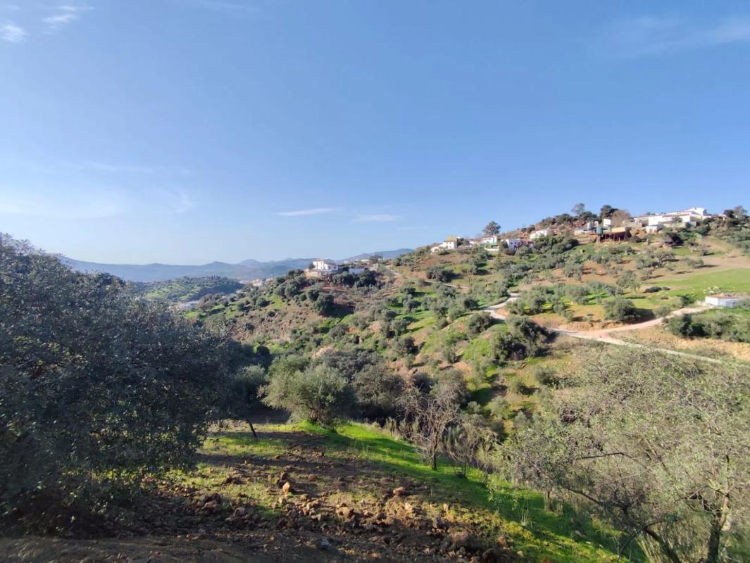 Land for sale in Casabermeja, Malaga photo 4