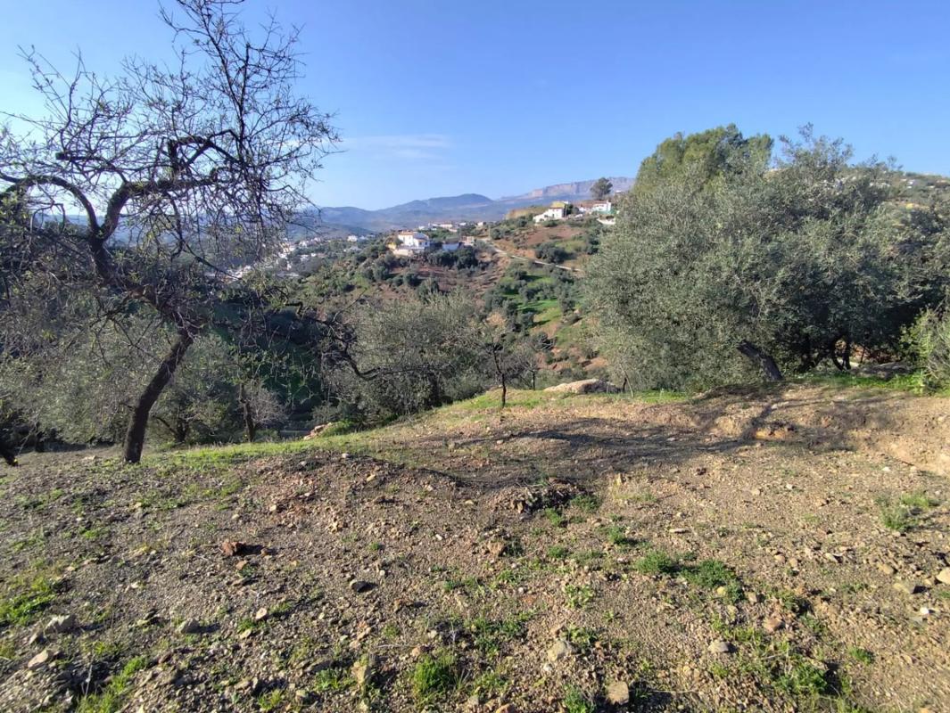 Land for sale in Casabermeja, Malaga photo 5
