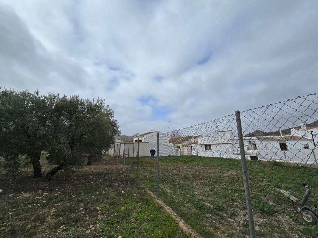 Terreno en venta en Cuevas del Becerro, Malaga photo 5