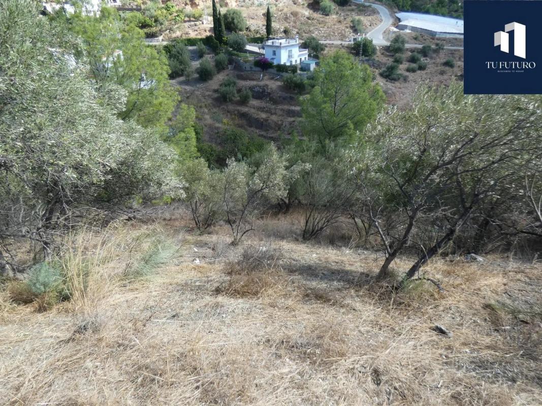 Terreno en venta en Frigiliana, Malaga photo 4