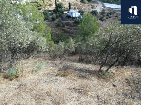 Terreno en Frigiliana photo 4