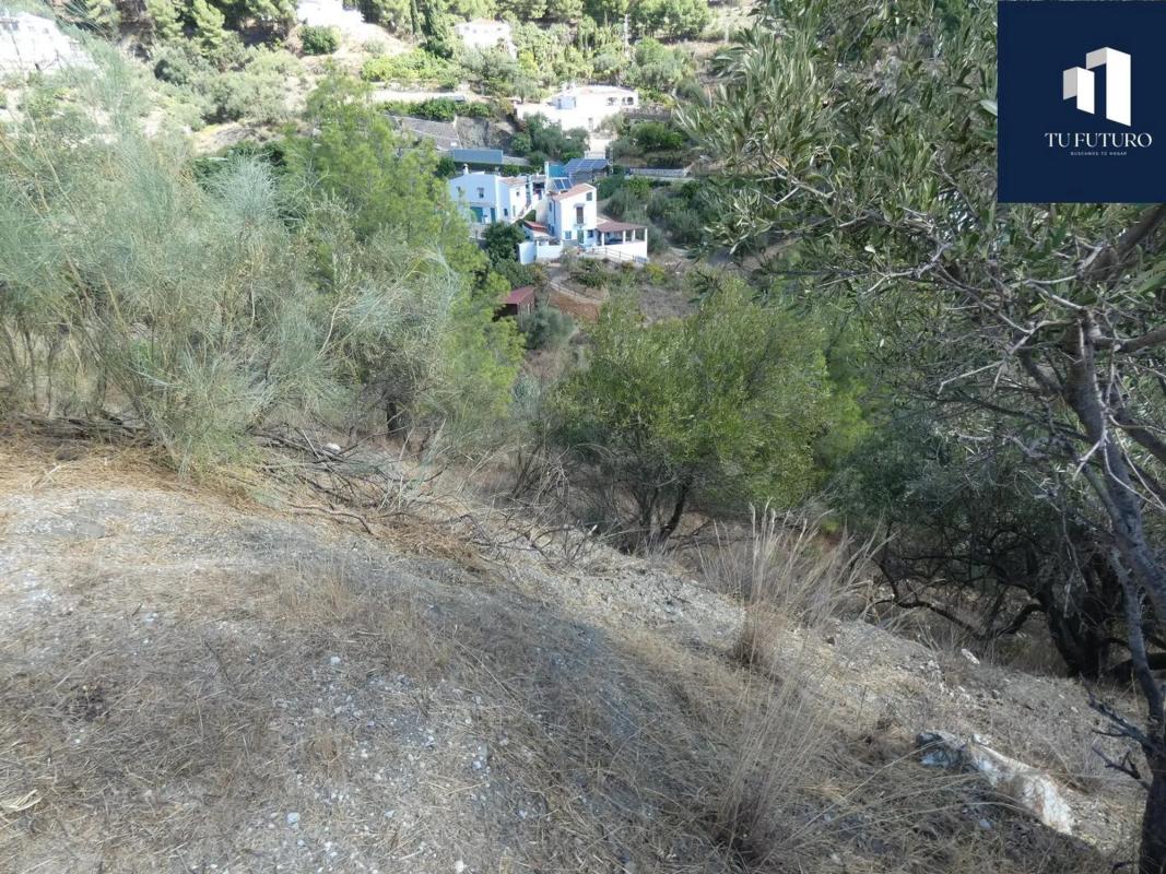 Terreno en venta en Frigiliana, Malaga photo 5