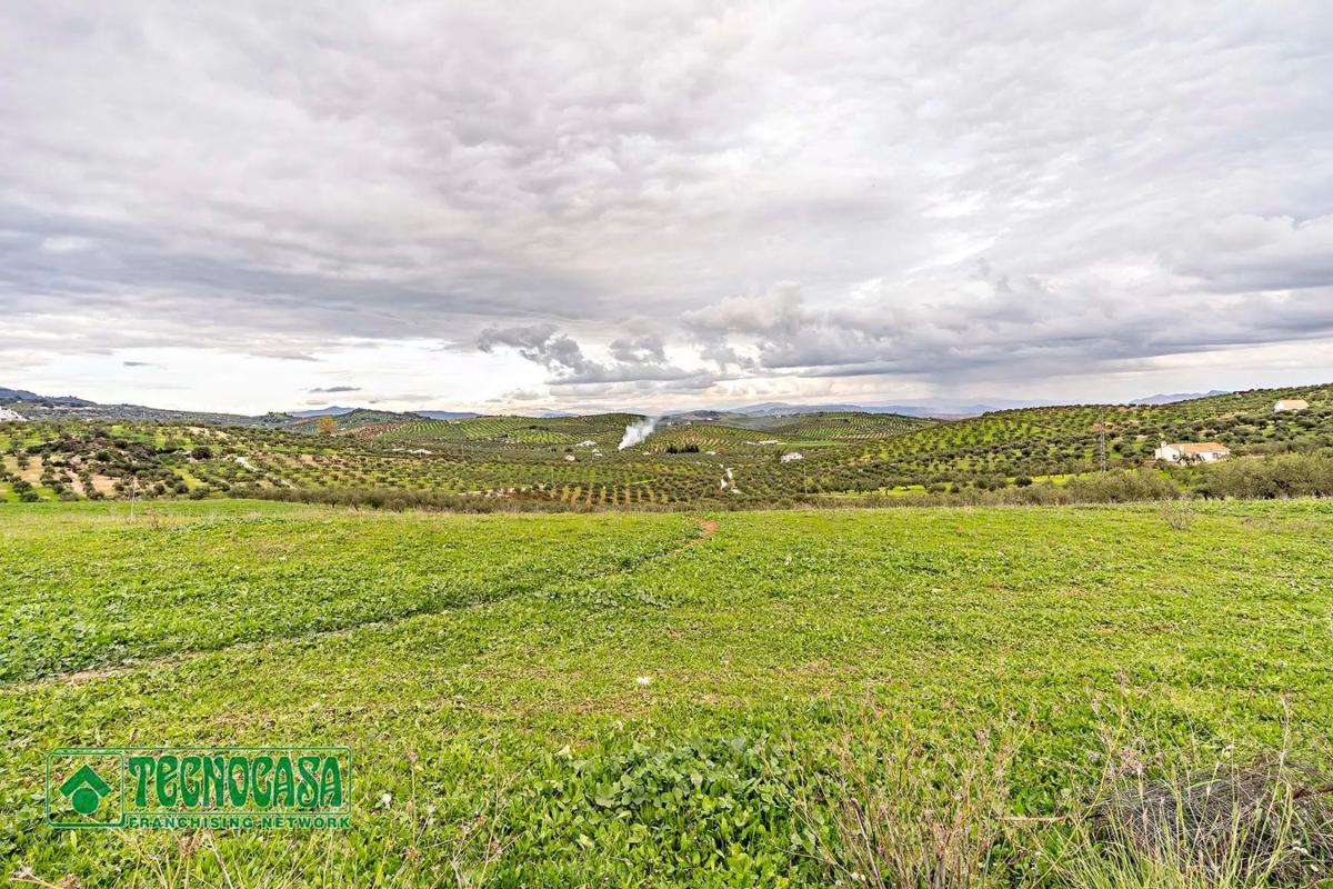 Terreno en venta en Alozaina, Malaga photo 1