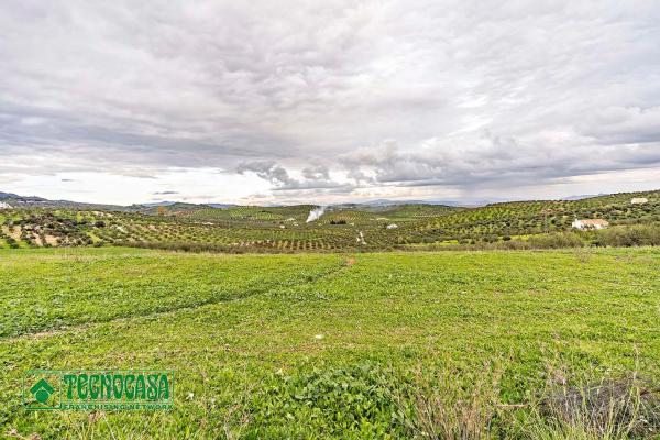 Terreno en alto de Guaro photo 1