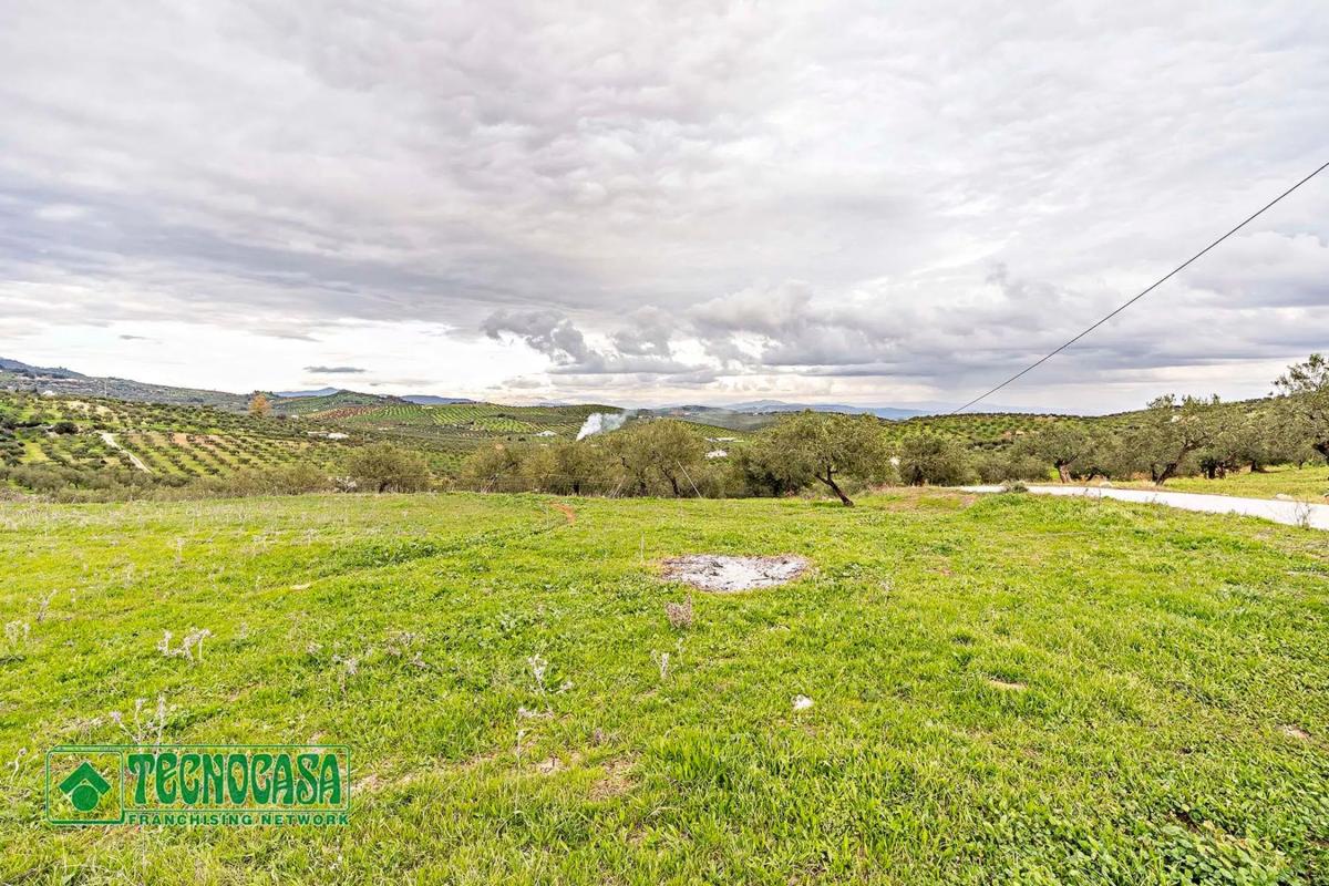 Terreno en venta en Alozaina, Malaga photo 2