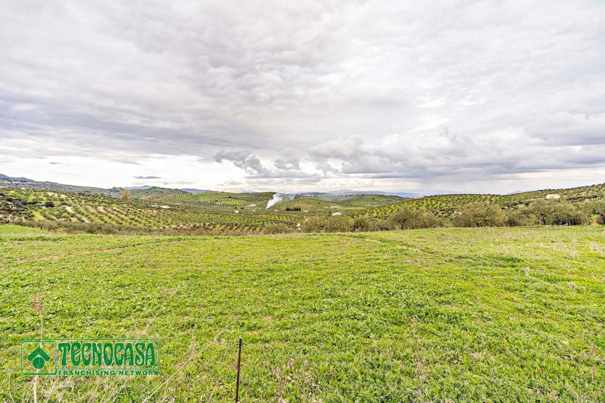 Terreno en venta en Alozaina, Malaga photo 3