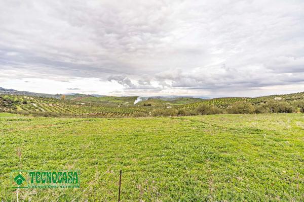Terreno en alto de Guaro photo 3