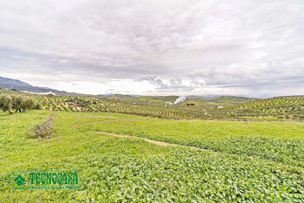 Terreno en venta en Alozaina, Malaga photo 4