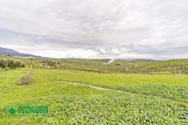 Terreno en alto de Guaro photo 4