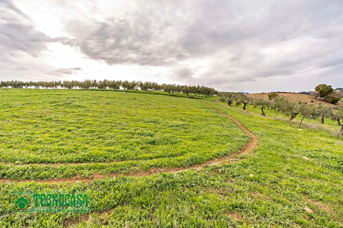 Terreno en venta en Alozaina, Malaga photo 5