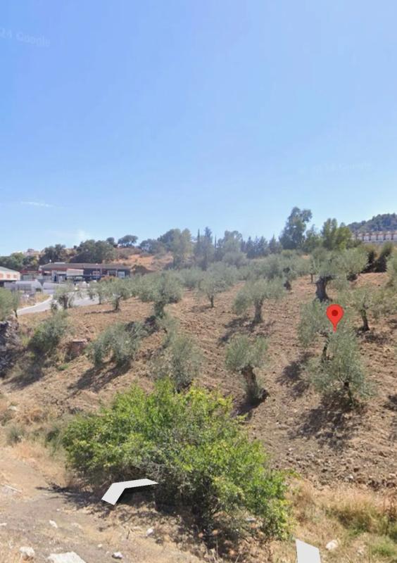 Terreno en venta en Alozaina, Malaga photo 4