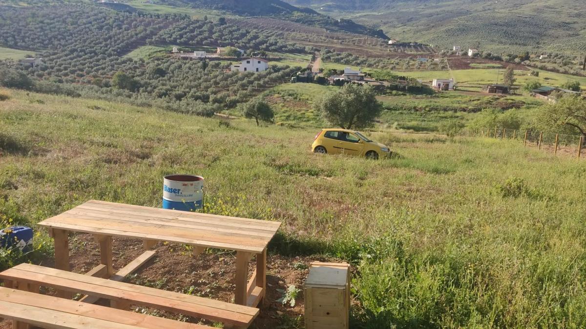 Land for sale in Casabermeja, Malaga photo 3
