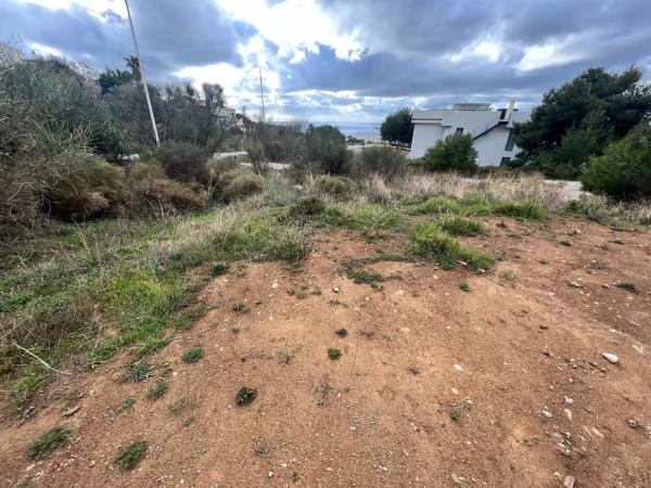 Terreno en Lugar Urbanizacion Buenavista, 106 photo 2