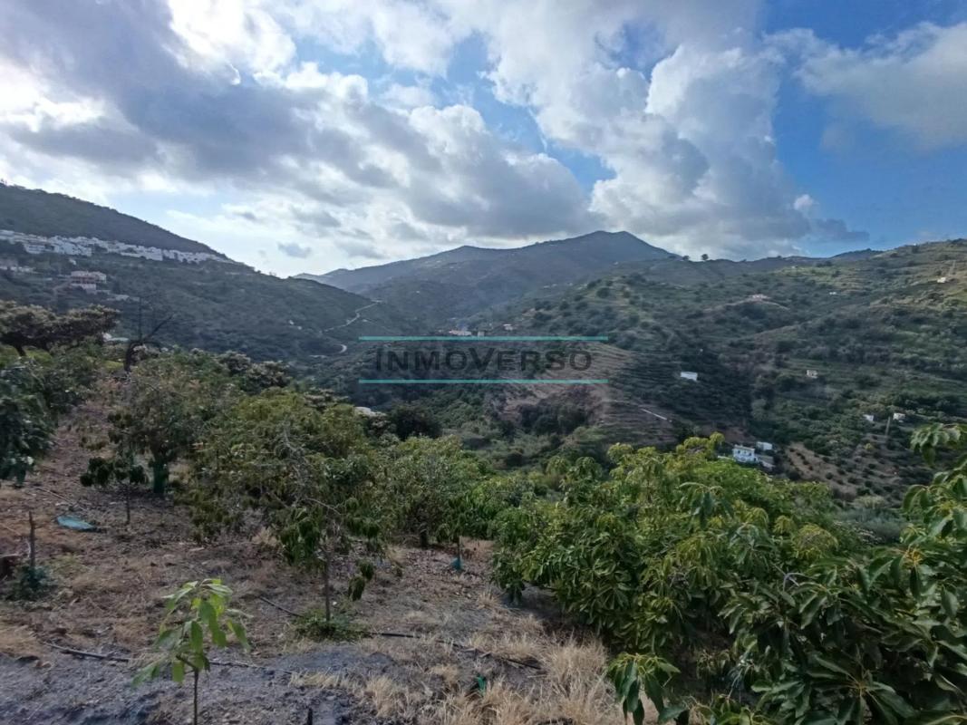 Terreno en venta en Sayalonga, Malaga photo 4