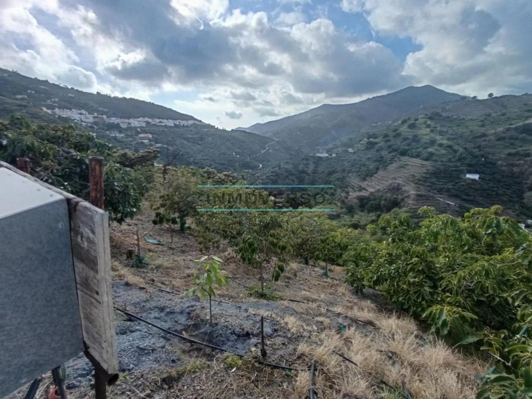 Terreno en venta en Sayalonga, Malaga photo 5