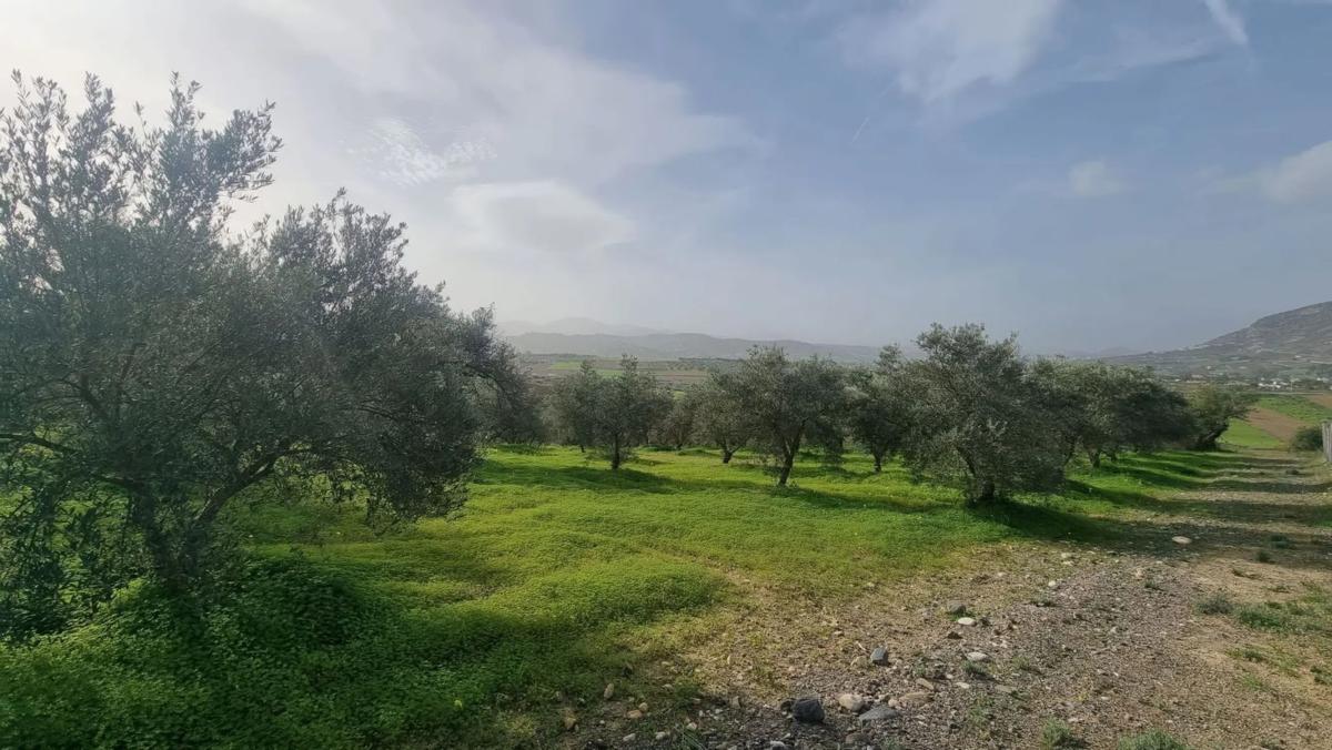 Terreno en venta en Alhaurín el Grande, Malaga photo 2