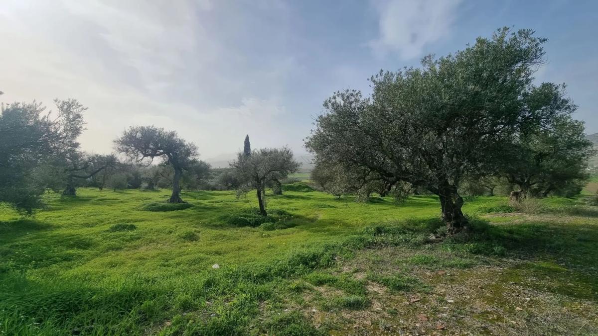 Terreno en venta en Alhaurín el Grande, Malaga photo 4